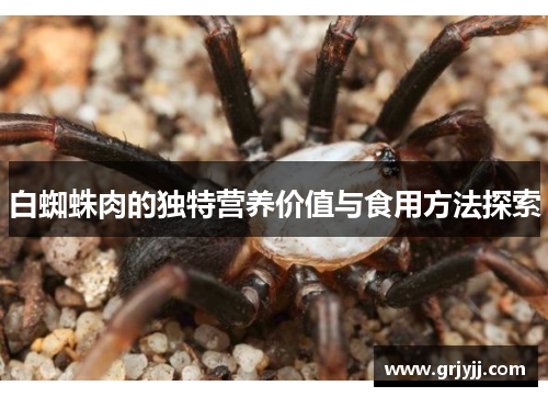 白蜘蛛肉的独特营养价值与食用方法探索